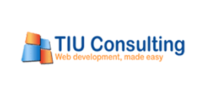 TIU consulting